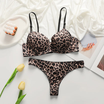 Leopard Print Shaping Bra and Panty Set