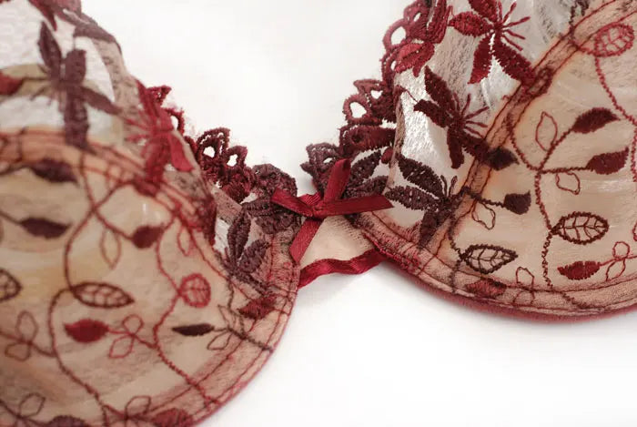 V-Shape Lace Underwire Bra & Brief Set